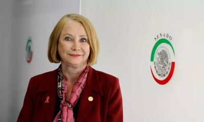 Laura Itzel Castillo Juárez es arquitecta y política, miembro de Morena, y ha desempeñado un papel destacado en la política y la administración pública, especialmente en la Ciudad de México