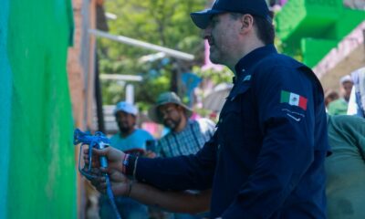 Tan sólo en la colonia Independencia laboran 8 cuadrillas con 74 pintores para cubrir más de 240 mil metros cuadrados.