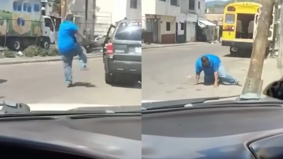 Las imágenes rápidamente circularon en redes sociales, generando comentarios de burla y reflexiones sobre los riesgos de la agresividad en las calles.