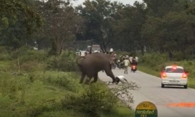 Tras el incidente, el hombre fue trasladado de emergencia a un hospital para recibir atención médica debido a las heridas sufridas durante el ataque.