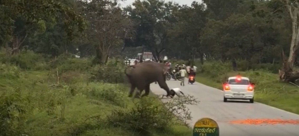 Tras el incidente, el hombre fue trasladado de emergencia a un hospital para recibir atención médica debido a las heridas sufridas durante el ataque.