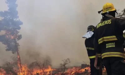 Este día conmemorativo busca resaltar la vocación y el esfuerzo de hombres y mujeres que, con coraje y solidaridad, enfrentan riesgos para salvaguardar a los demás.