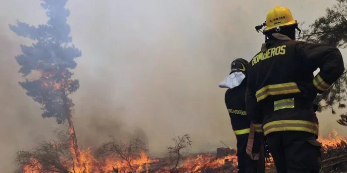 Este día conmemorativo busca resaltar la vocación y el esfuerzo de hombres y mujeres que, con coraje y solidaridad, enfrentan riesgos para salvaguardar a los demás.