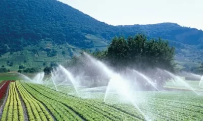 Con una inversión superior a los 60,000 millones de pesos durante la actual administración, el proyecto representa una estrategia sin precedentes en México y a nivel mundial