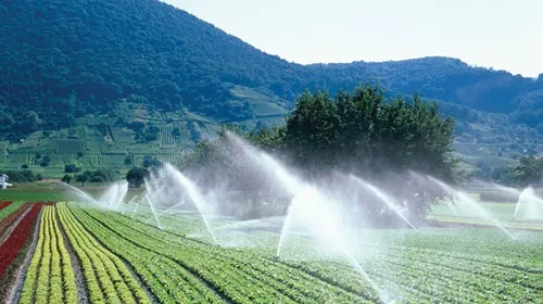 Con una inversión superior a los 60,000 millones de pesos durante la actual administración, el proyecto representa una estrategia sin precedentes en México y a nivel mundial