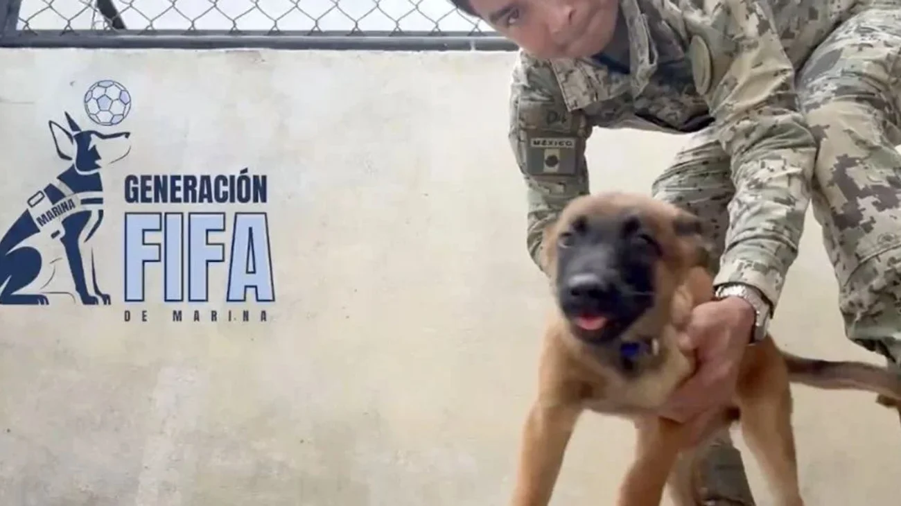 Esta preparación busca reforzar la seguridad en un evento que, por primera vez, contará con la participación de 48 selecciones nacionales.