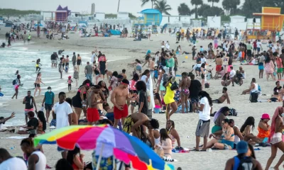 La Vibrio vulnificus es una bacteria altamente peligrosa, capaz de provocar infecciones graves que, en algunos casos, destruyen tejidos y se alimentan de carne humana.