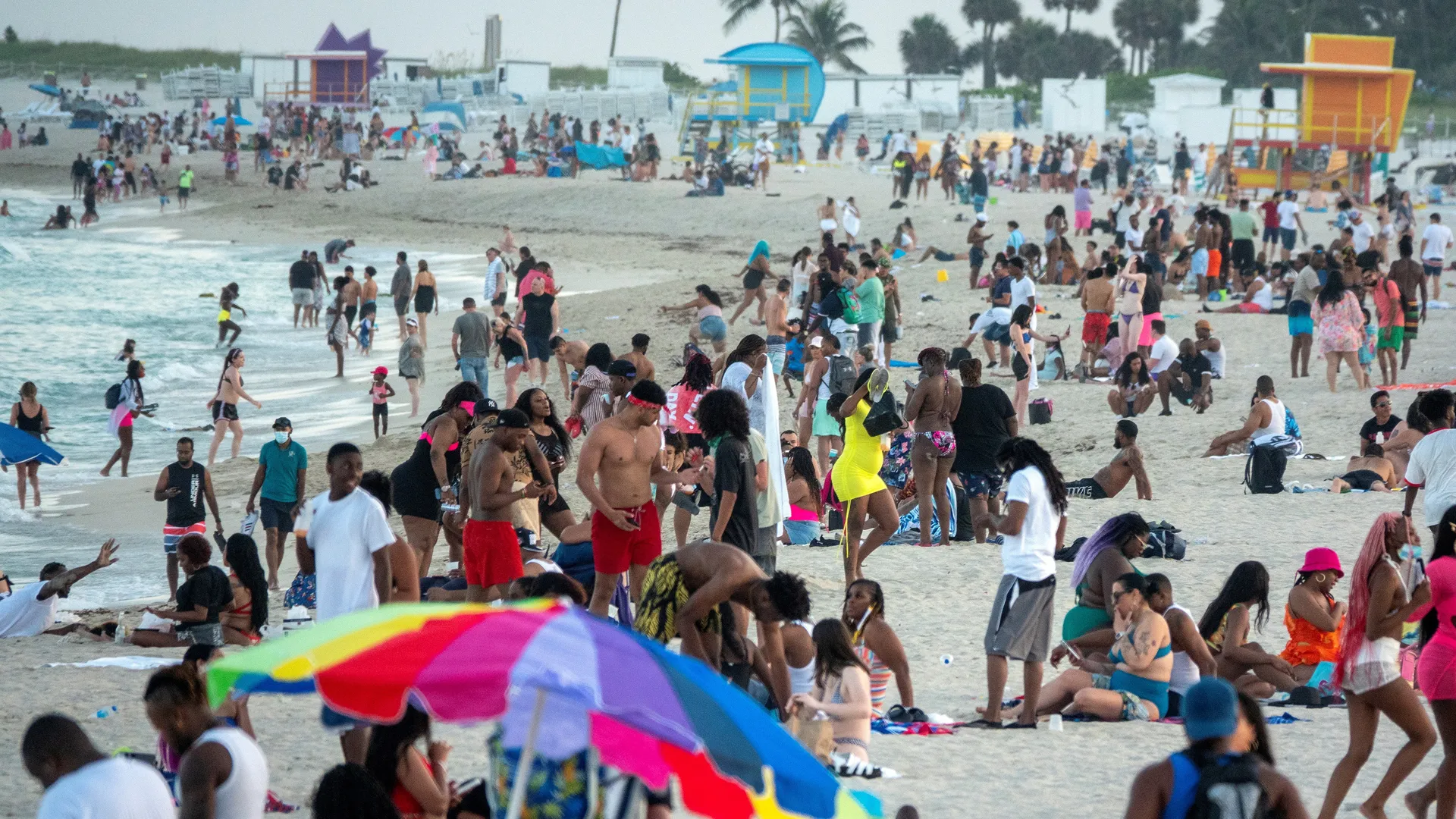 La Vibrio vulnificus es una bacteria altamente peligrosa, capaz de provocar infecciones graves que, en algunos casos, destruyen tejidos y se alimentan de carne humana.