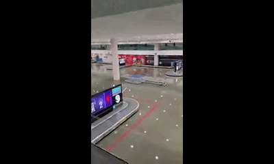 Finalmente, el AICM informó que desde las 11:00 horas de este martes ambas pistas quedaron habilitadas y las operaciones regresaron a la normalidad