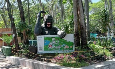 El zoológico resguarda aproximadamente 278 ejemplares de diversas especies, entre ellos monos, tigres, llamas, mapaches, venados, tucanes, guacamayas, pavorreales y tortugas, por lo que el robo del reptil ha generado preocupación sobre la seguridad en las instalaciones.