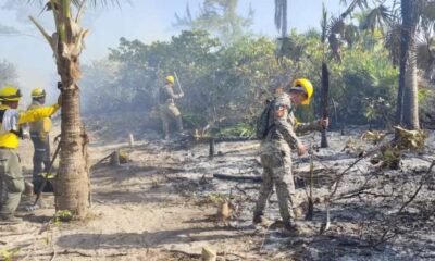 Aunque aún no se ha determinado la causa del siniestro, las autoridades exhortaron a la población y visitantes a extremar precauciones, especialmente en temporadas de altas temperaturas y sequía
