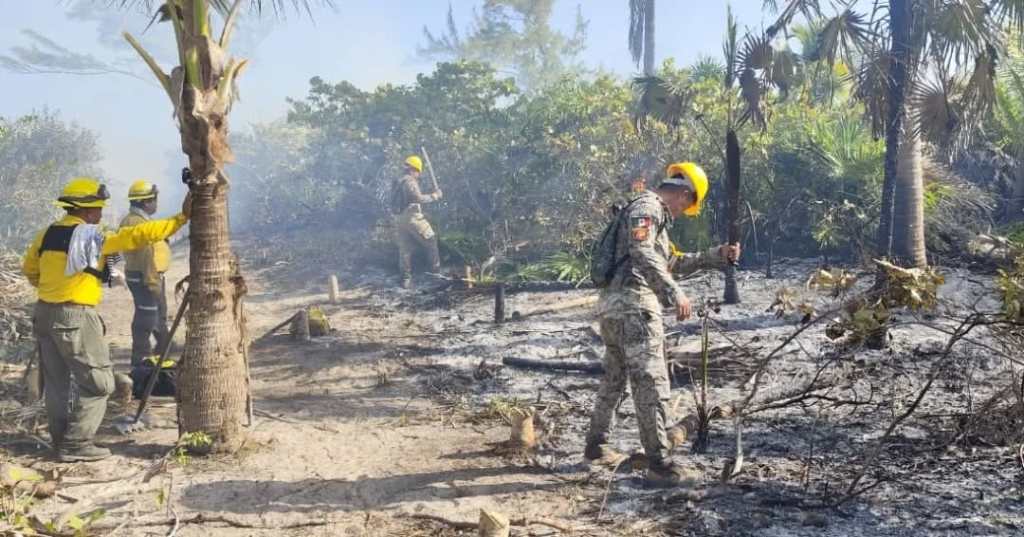 Aunque aún no se ha determinado la causa del siniestro, las autoridades exhortaron a la población y visitantes a extremar precauciones, especialmente en temporadas de altas temperaturas y sequía