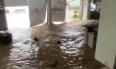 Los municipios más afectados por las precipitaciones fueron San Nicolás, Monterrey, San Pedro, Santa Catarina, General Terán, Guadalupe, Juárez, Montemorelos, Linares y Apodaca.