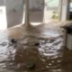 Los municipios más afectados por las precipitaciones fueron San Nicolás, Monterrey, San Pedro, Santa Catarina, General Terán, Guadalupe, Juárez, Montemorelos, Linares y Apodaca.