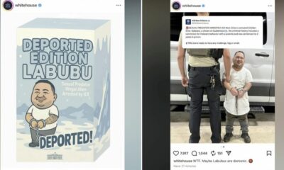 La Casa Blanca y el Servicio de Inmigración y Control de Aduanas (ICE) destacaron que la imagen refleja el uso de ilustraciones, incluyendo generadas por inteligencia artificial, como herramienta en sus redes sociales para reforzar las acciones de deportación.