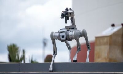 El Unitree B2 cuenta con sensores avanzados, puede saltar hasta un metro, subir desniveles de 40 centímetros, mantener estabilidad en distintas superficies y soportar cargas de hasta 20 kilos