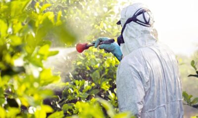 . La decisión forma parte de una estrategia integral instruida por la presidenta Claudia Sheinbaum, en la que participaron la Secretaría de Salud, la Secretaría de Economía, Semarnat y la Secretaría de Agricultura.