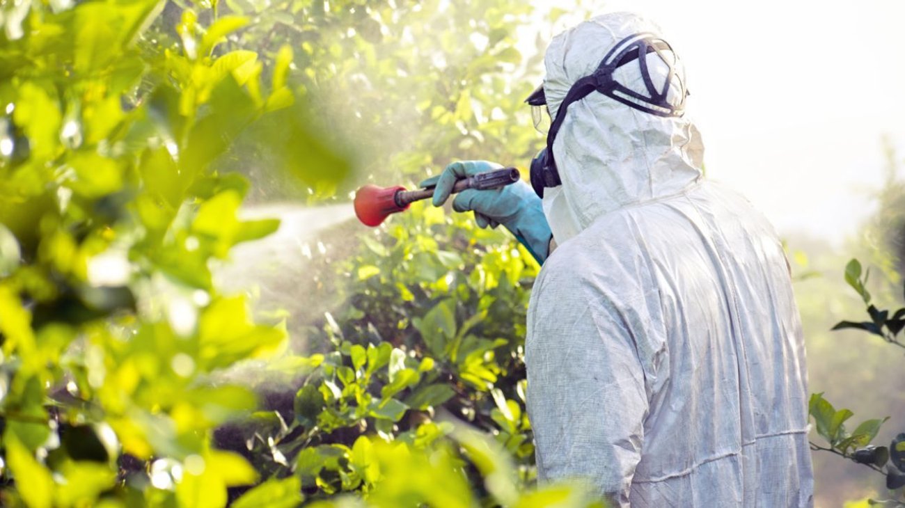 . La decisión forma parte de una estrategia integral instruida por la presidenta Claudia Sheinbaum, en la que participaron la Secretaría de Salud, la Secretaría de Economía, Semarnat y la Secretaría de Agricultura.