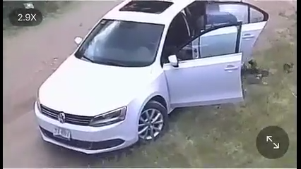 Toda la evidencia, incluyendo video, placas y testimonios, fue presentada ante la Procuraduría Estatal de Protección al Medio Ambiente (PROESPA), que abrió una investigación formal.