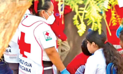 Como parte de la respuesta inmediata, la Comisión Estatal para la Protección Contra Riesgos Sanitarios (Coepris) realizó la toma de muestras de agua purificada y alimentos elaborados con pollo para su análisis