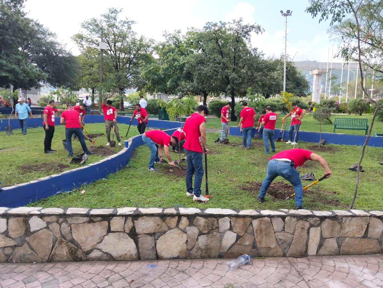 La jornada inició con una capacitación sobre la correcta plantación de árboles y continuó con las labores de forestación, concluyendo tras la instalación de todos los ejemplares y del jardín.
