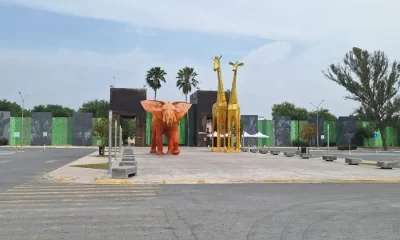 La Pastora incumple con la normatividad ambiental en materia de trato digno y respetuoso hacia ejemplares de vida silvestre.