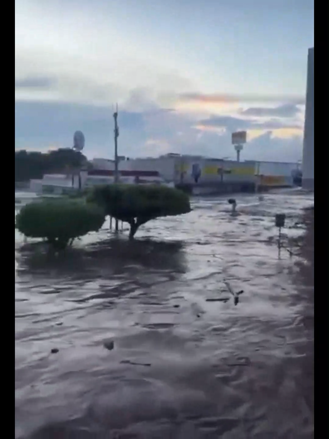 En Álamo, se reportó el rescate de un hombre junto a sus 13 perros, quienes quedaron atrapados por el repentino aumento del nivel del agua