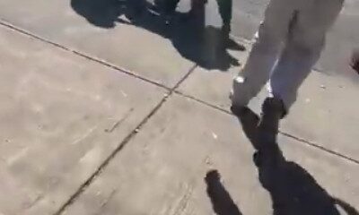 La Universidad Nacional Autónoma de México (UNAM) informó que desde el momento del incidente se brindó apoyo a las víctimas.