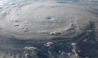 El vórtice polar es un sistema de vientos helados y de baja presión que gira de manera permanente sobre las zonas polares