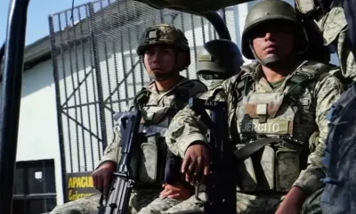 Los Murciélagos son unidades entrenadas en operaciones silenciosas y de alta precisión, con preparación en francotiradores, explosivos, combate en montaña e infiltración táctica.