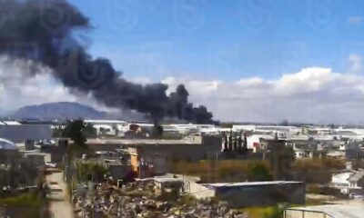 Testigos señalaron haber escuchado un fuerte estruendo tras el impacto, lo que alertó a vecinos del sector.