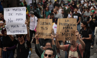 El movimiento, que agrupa a activistas, pacientes, usuarios recreativos y defensores de derechos humanos, sostiene que la falta de legislación integral sigue criminalizando a los consumidores y limita el acceso regulado a la planta y sus derivados.