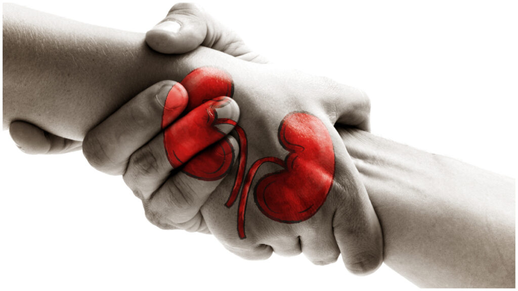 Durante su intervención, el funcionario subrayó que en el último año se han realizado miles de trasplantes, principalmente de riñón, hígado y corazón, en su mayoría dentro de hospitales públicos.