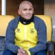 Suazo refuerza un proyecto que busca pelear por el ascenso a la Primera División chilena apoyándose en jugadores que conocen su estilo y filosofía de juego