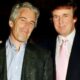 En uno de los vuelos de 1993, Trump y Epstein figuraron como los únicos pasajeros, mientras que en otro viajaron junto a una mujer de 20 años cuyo nombre fue censurado