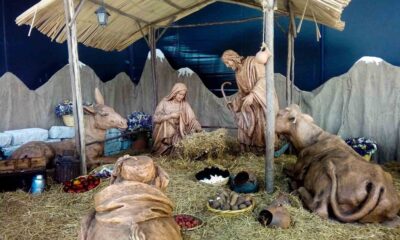 Filoni relató que al pasar por el lugar notó una figura que no recordaba haber visto antes, pero no fue hasta que regresó del Ayuntamiento que se dio cuenta de que aquella “figura” se movía.