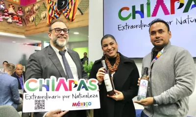 Entre los materiales difundidos, destaca un video publicado por Dorian Molina, secretario particular de la exfuncionaria, donde se observa al grupo entonando “Cielito Lindo” con copas de vino