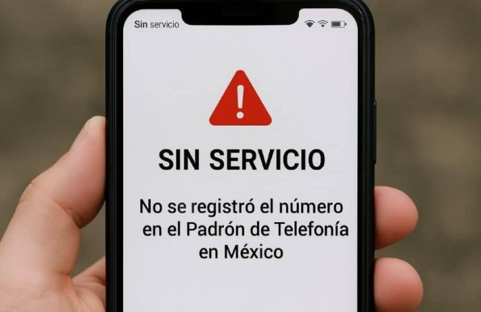 El trámite podrá realizarse en línea o de manera presencial, dependiendo de la compañía telefónica