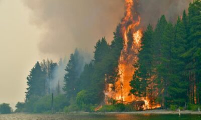 Los operativos de combate incluyen alrededor de 500 brigadistas y al menos 20 aeronaves, que realizan descargas de agua y sobrevuelos de reconocimiento