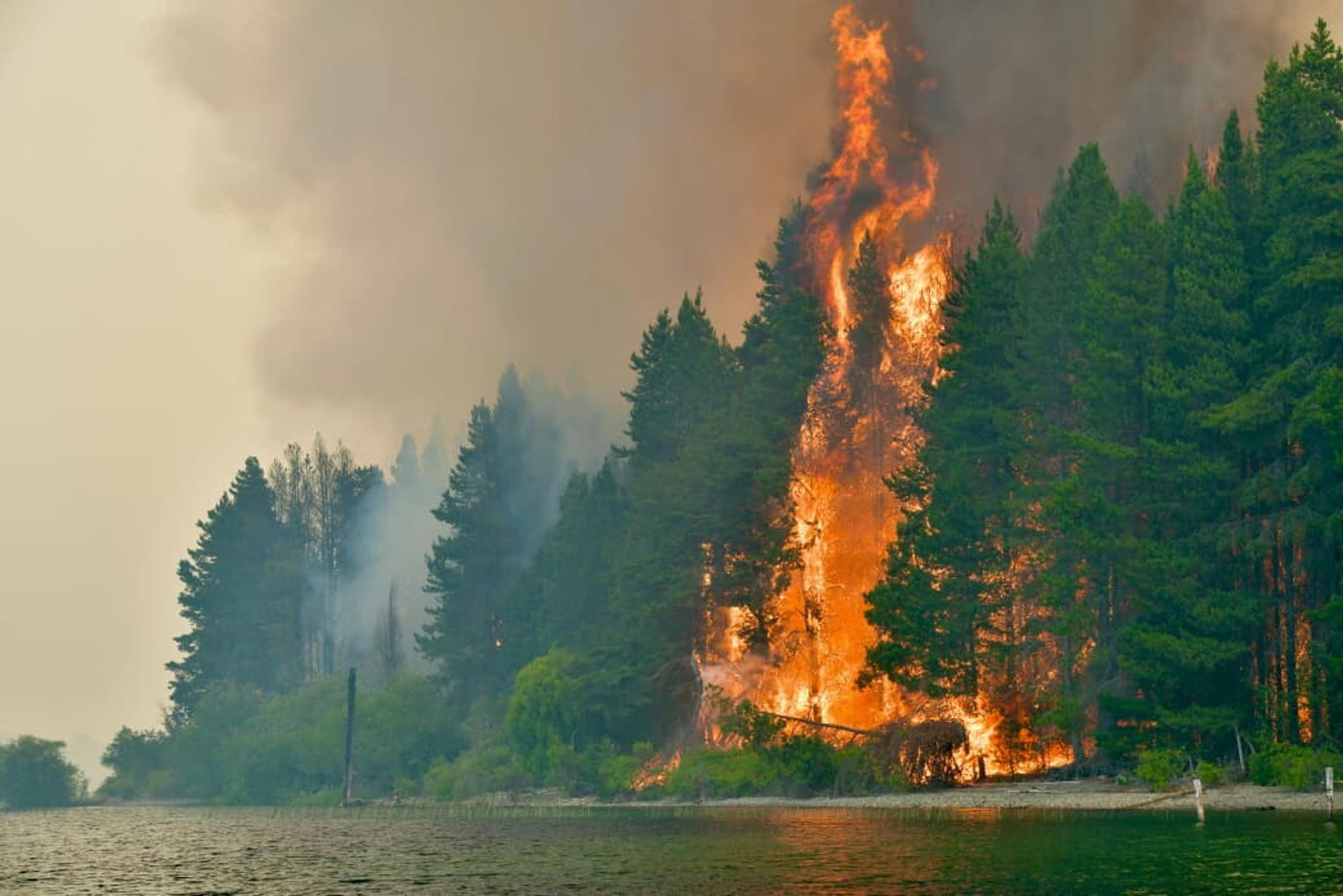 Los operativos de combate incluyen alrededor de 500 brigadistas y al menos 20 aeronaves, que realizan descargas de agua y sobrevuelos de reconocimiento