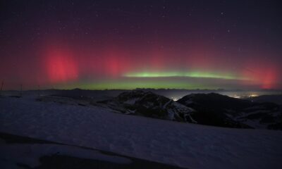 Aunque no representan un riesgo directo para la salud humana, en casos extremos pueden causar daños en infraestructuras eléctricas y provocar apagones de gran escala.