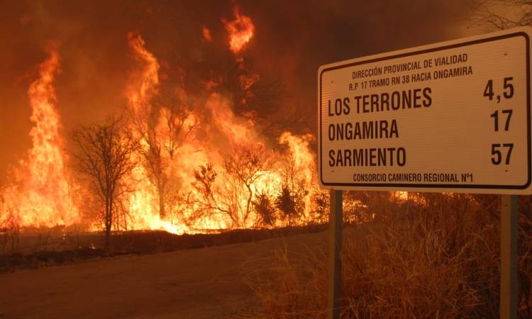 En Santa Cruz, el fuego impacta la zona de Túnel Interior, en el parque nacional Los Glaciares, donde cerca de 50 brigadistas intentan frenar el avance de las llamas que ya consumieron 277 hectáreas.