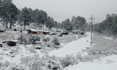 Se prevé la posible caída de nieve o aguanieve en zonas serranas de Chihuahua, Durango, Sinaloa, Coahuila, Nuevo León y Zacatecas