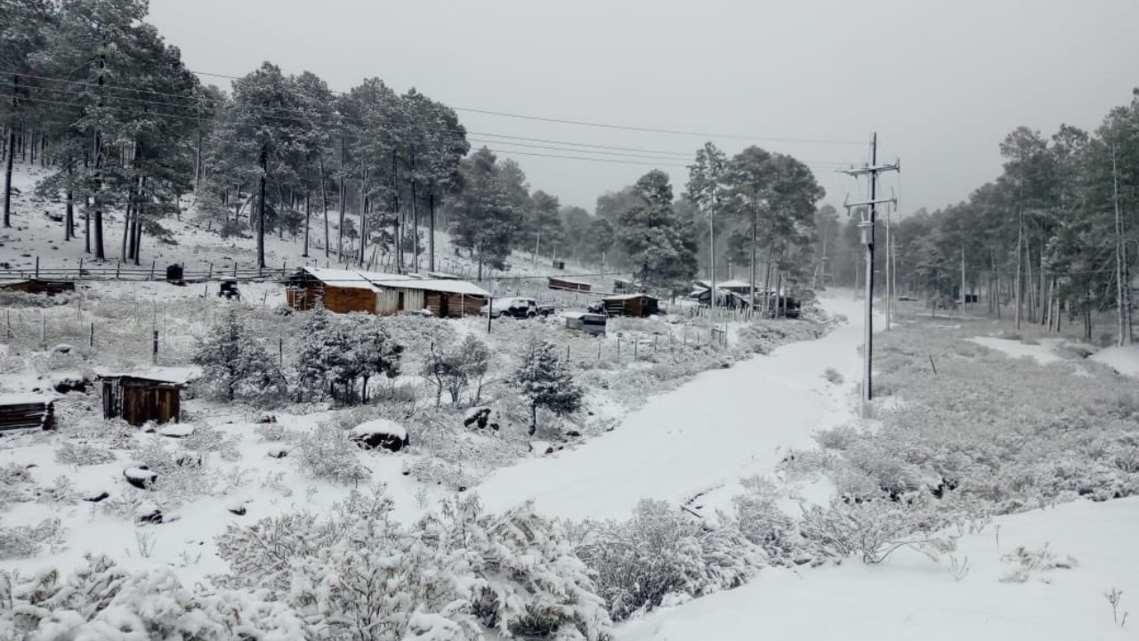 Se prevé la posible caída de nieve o aguanieve en zonas serranas de Chihuahua, Durango, Sinaloa, Coahuila, Nuevo León y Zacatecas