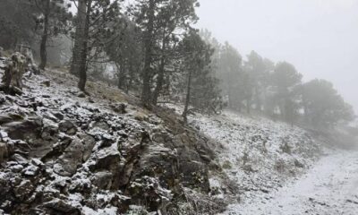 El Servicio Meteorológico Nacional indicó que la interacción del frente frío con una masa de aire polar continuará generando aguanieve.