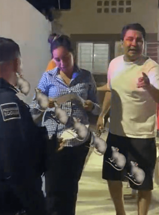 De acuerdo con la denuncia, el padre y su nueva pareja habrían registrado a la adolescente en el programa federal sin el consentimiento de la madre tutora