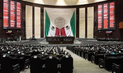 El Banco de México contará con un plazo máximo de 90 días, una vez publicado el decreto en el Diario Oficial de la Federación, para definir los diseños oficiales de las monedas.