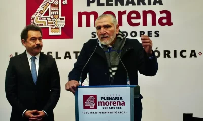 López Hernández aclaró que no dejará su escaño en la Cámara Alta, sino únicamente el cargo de coordinador, y aseguró que continuará formando parte de la bancada de Morena como legislador.