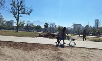 Durante la discusión legislativa, la diputada priista Armida Serrato Flores calificó la situación como “indefendible”, al señalar que Reforestación Extrema obtuvo contratos por más de 300 millones de pesos sin contar con infraestructura suficiente.