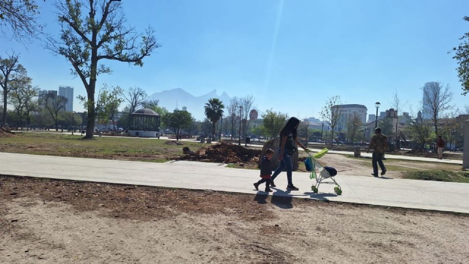 Durante la discusión legislativa, la diputada priista Armida Serrato Flores calificó la situación como “indefendible”, al señalar que Reforestación Extrema obtuvo contratos por más de 300 millones de pesos sin contar con infraestructura suficiente.